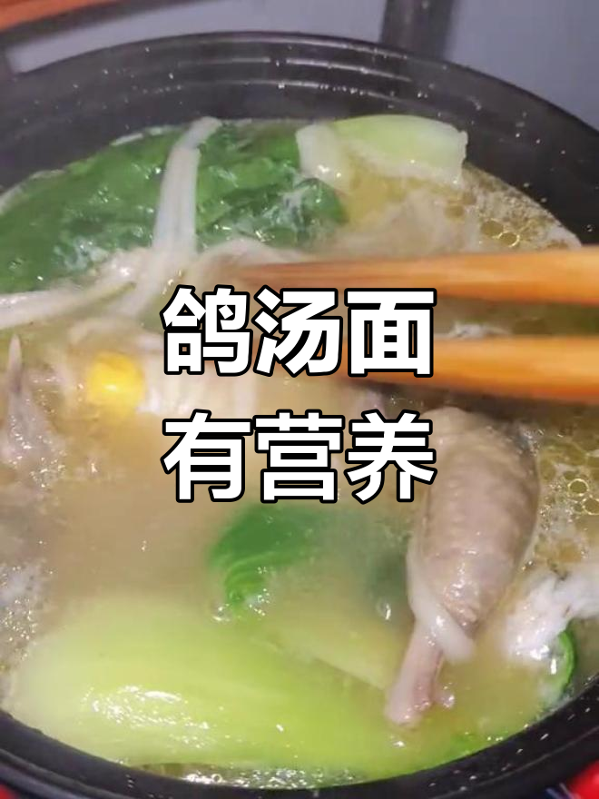 鸽子汤炖面条,营养美味