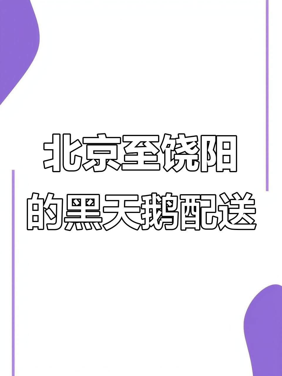 从北京到饶阳,跨城送黑天鹅蛋糕的浪漫之旅
