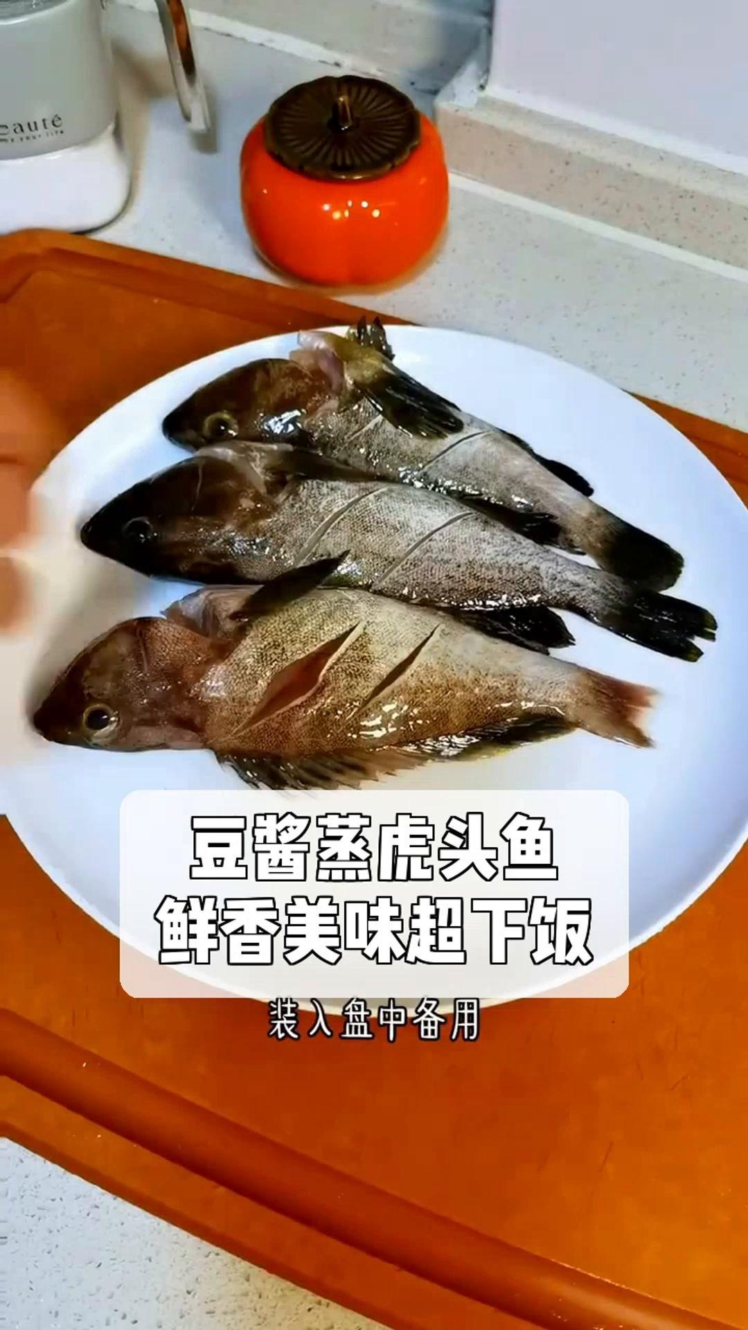 豆酱蒸虎头鱼,鲜香美味超下饭