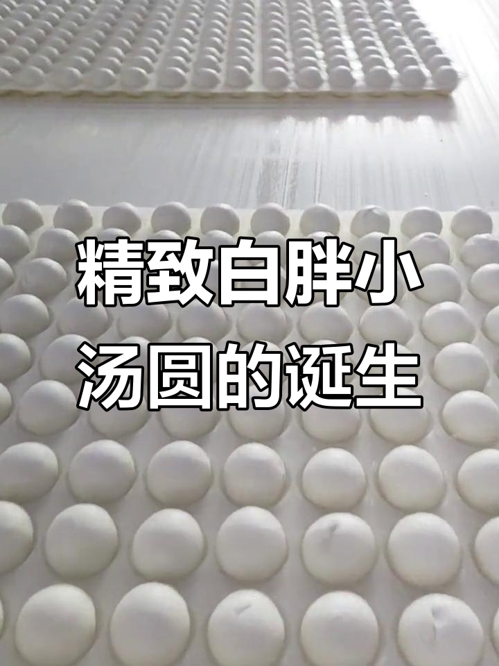 白胖汤圆制作全过程,速冻工艺保留完美流心口感