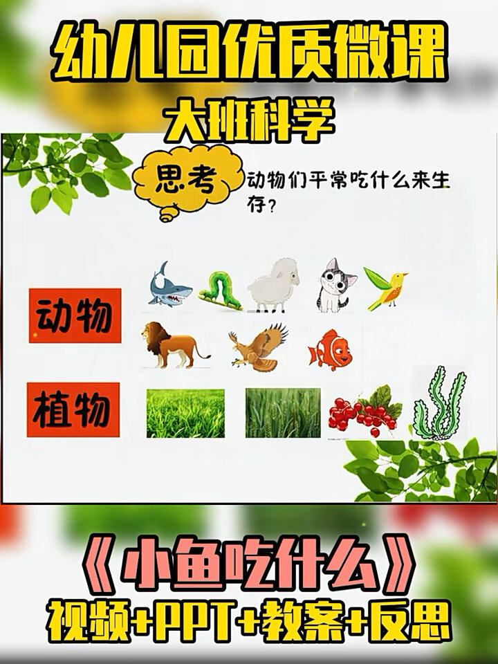 幼儿园公开课丨大班科学《小鱼吃什么》