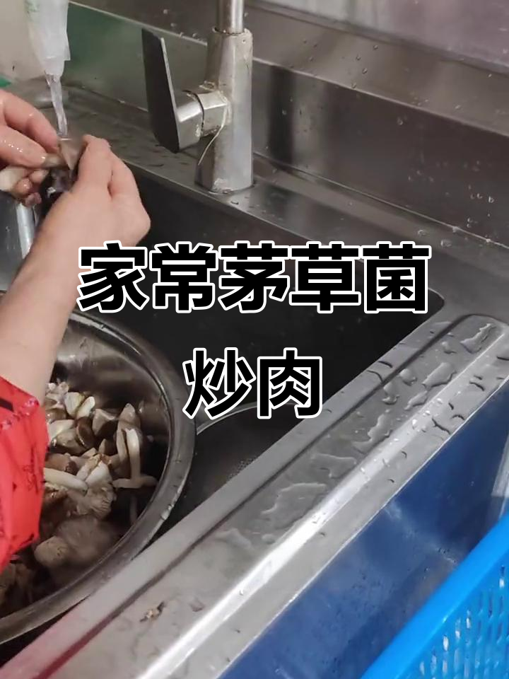 贵州特产茅草菌,家常小炒鲜美无比