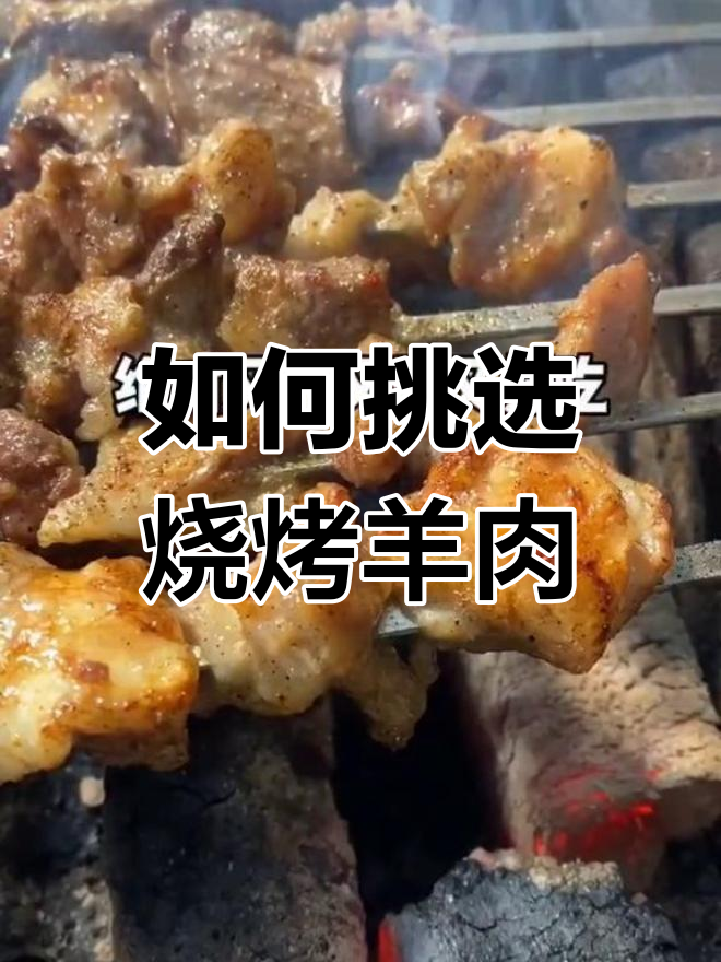 烤羊肉串选肉技巧大揭秘