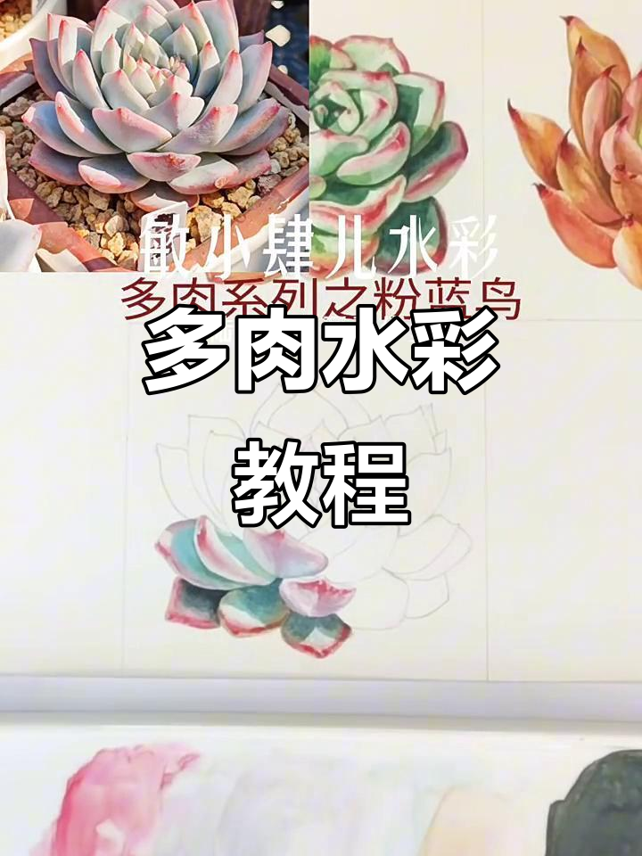 粉蓝鸟多肉水彩画技巧大揭秘,轻松上手!