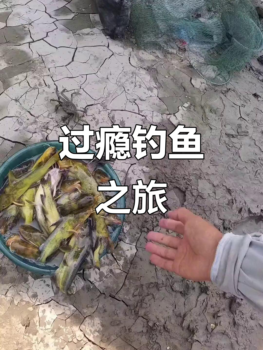 钓大嘎鱼，蚯蚓诱饵过瘾！