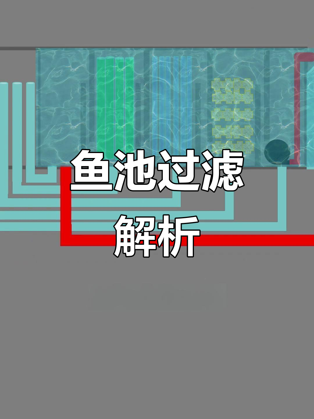 鱼池过滤原理揭秘,连通器与翻水板共同高效清洁!