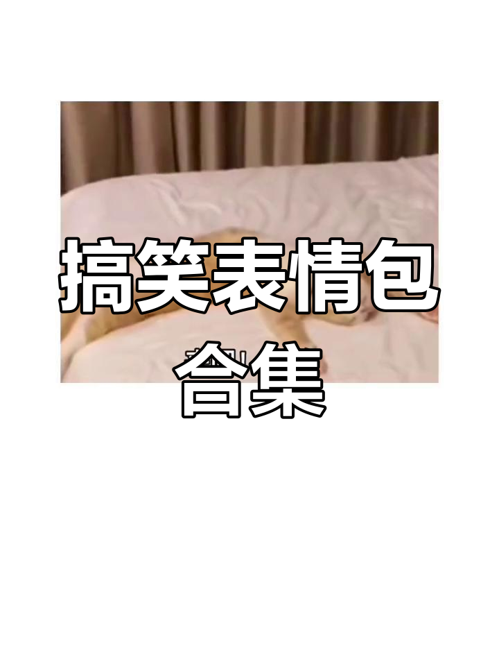 情侣互动必备表情包