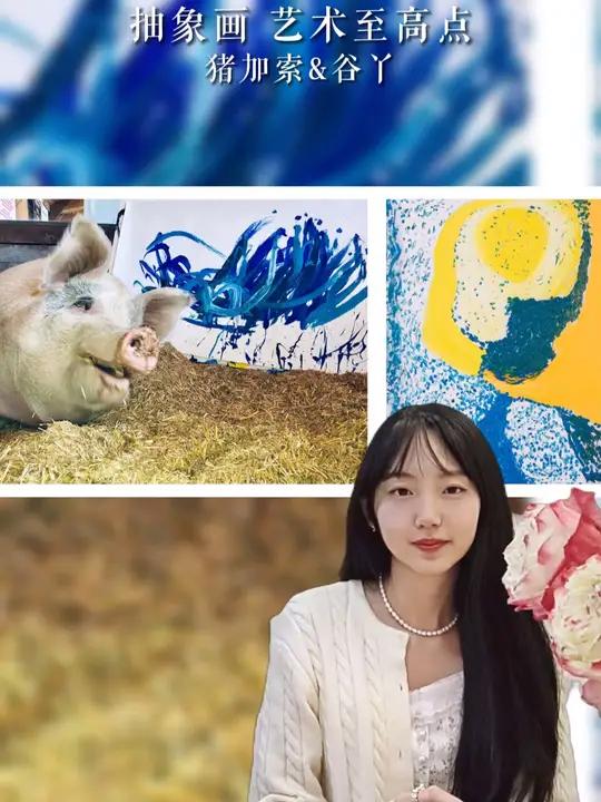 猪界毕加索和中国谷丫,让我们见证两个极具天赋的画家作品 谷丫 抽象艺术 艺术 猪加索 pi