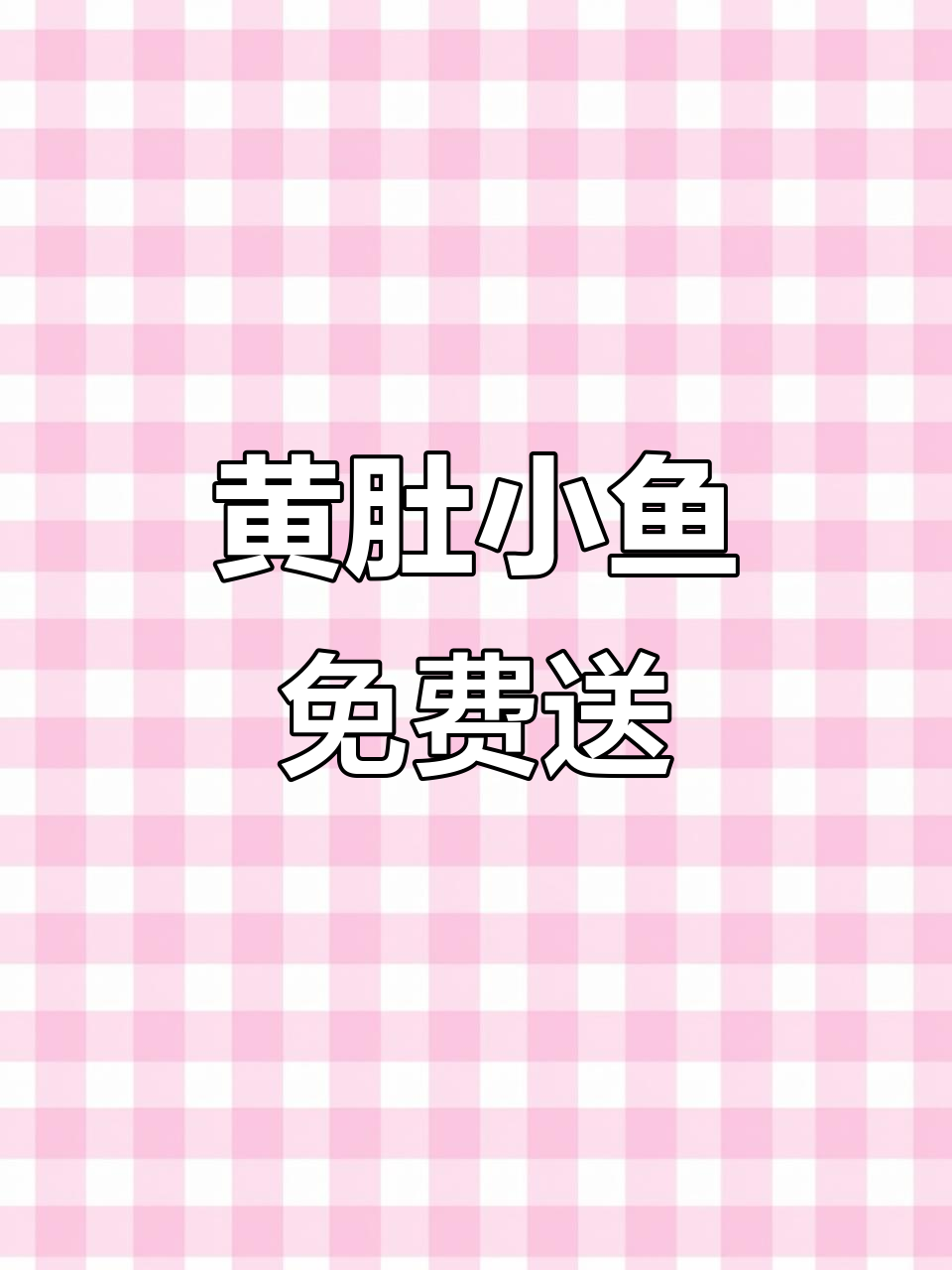 这条鱼肚子黄,快来领养小娃娃鱼幼苗!