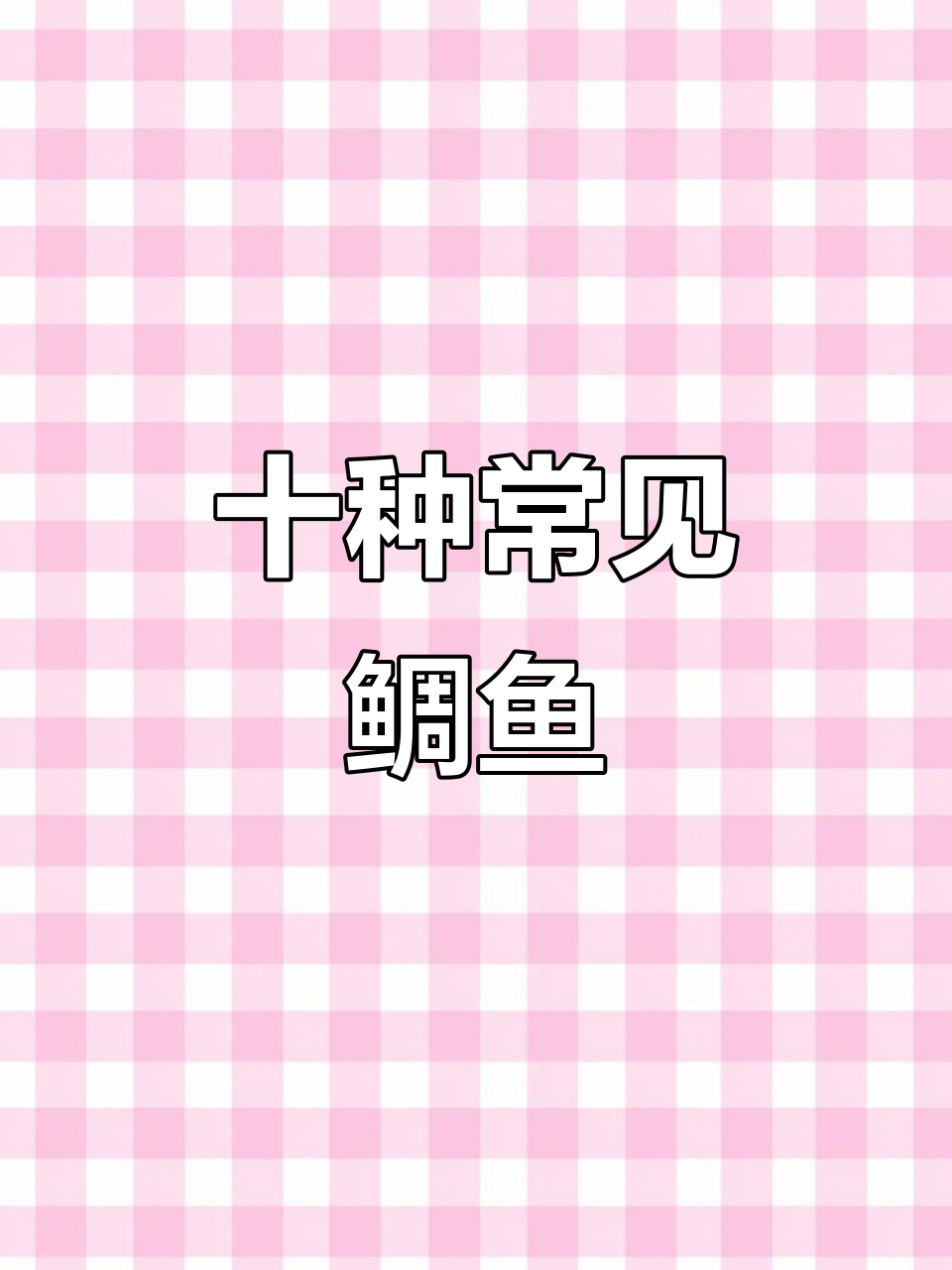 常见鲷鱼品种大盘点，十大最受欢迎的钓鱼选择