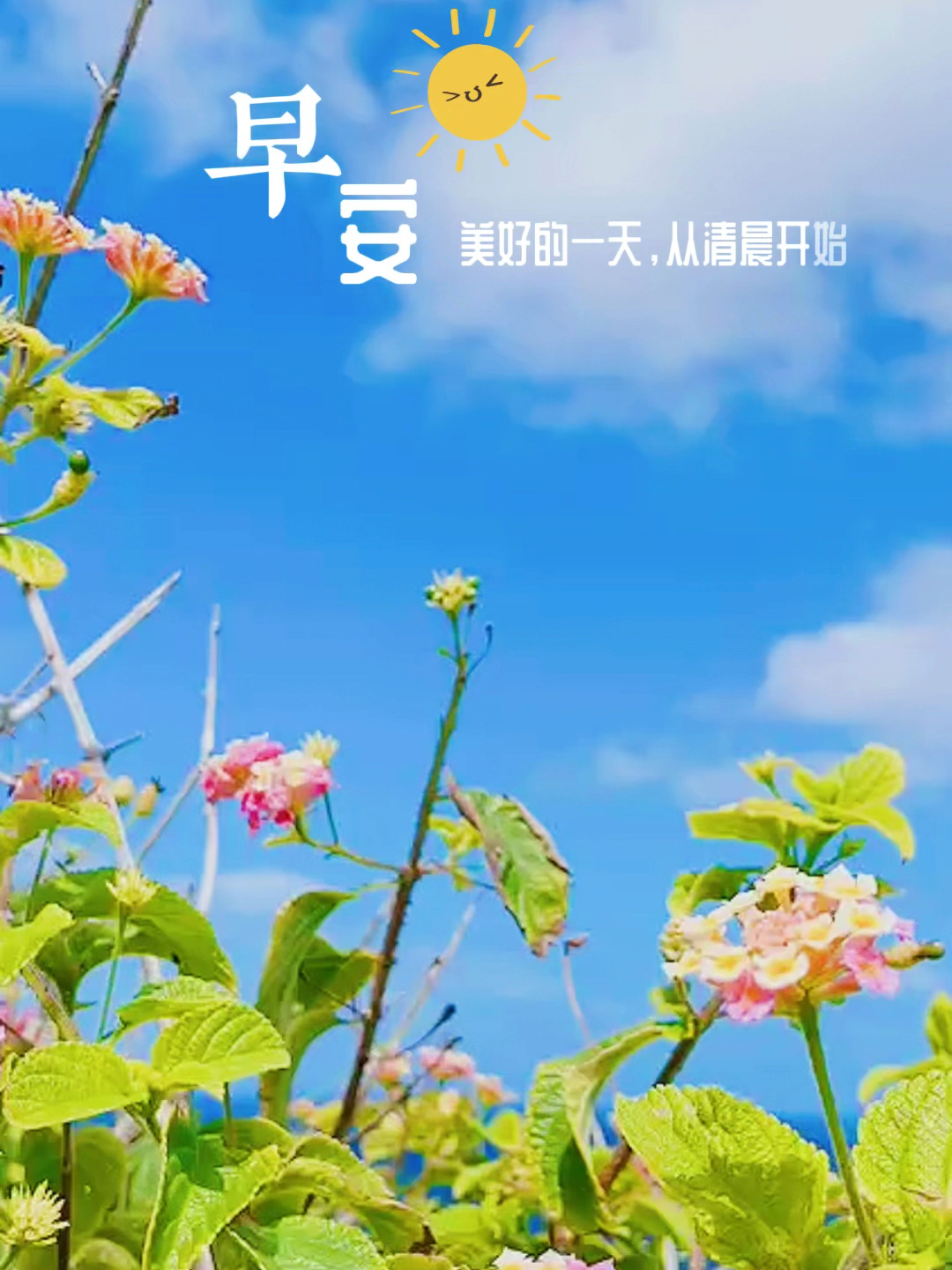 十五条适合周末发朋友圈的文案短句!