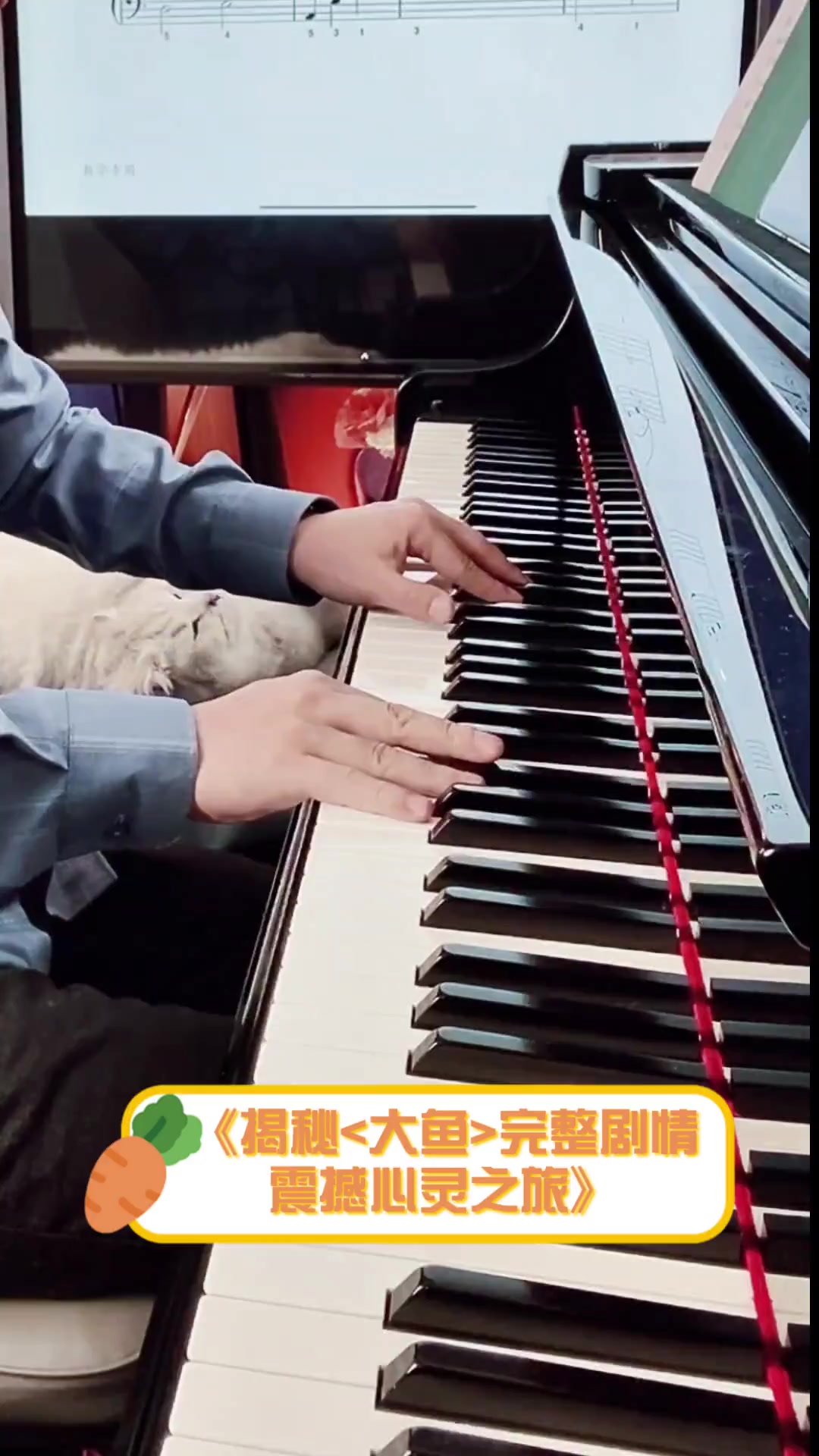 《揭秘<大鱼>完整剧情,震撼心灵之旅》