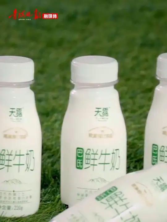 推动青海民营经济高质量发展·新视界|天露乳业牛奶鲜