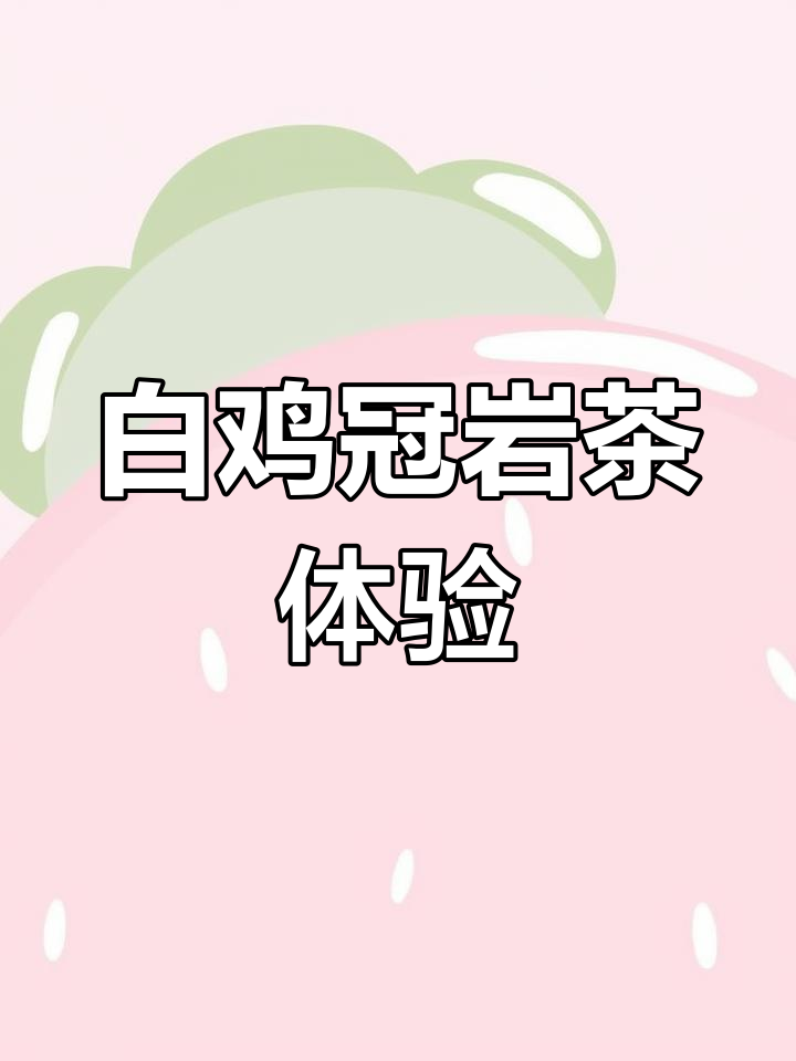 武夷星白鸡冠铁盒装:岩茶初学者必备鲜甜口感
