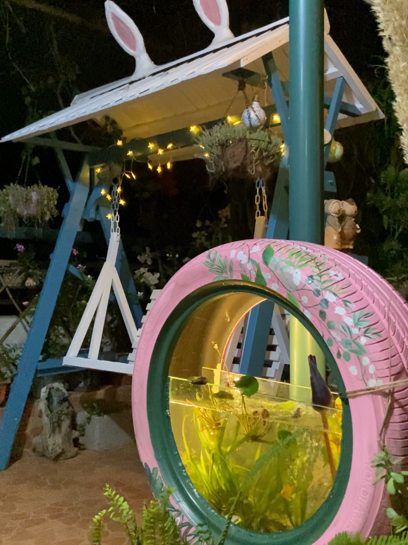 花费70元旧轮胎变鱼缸 制作过程