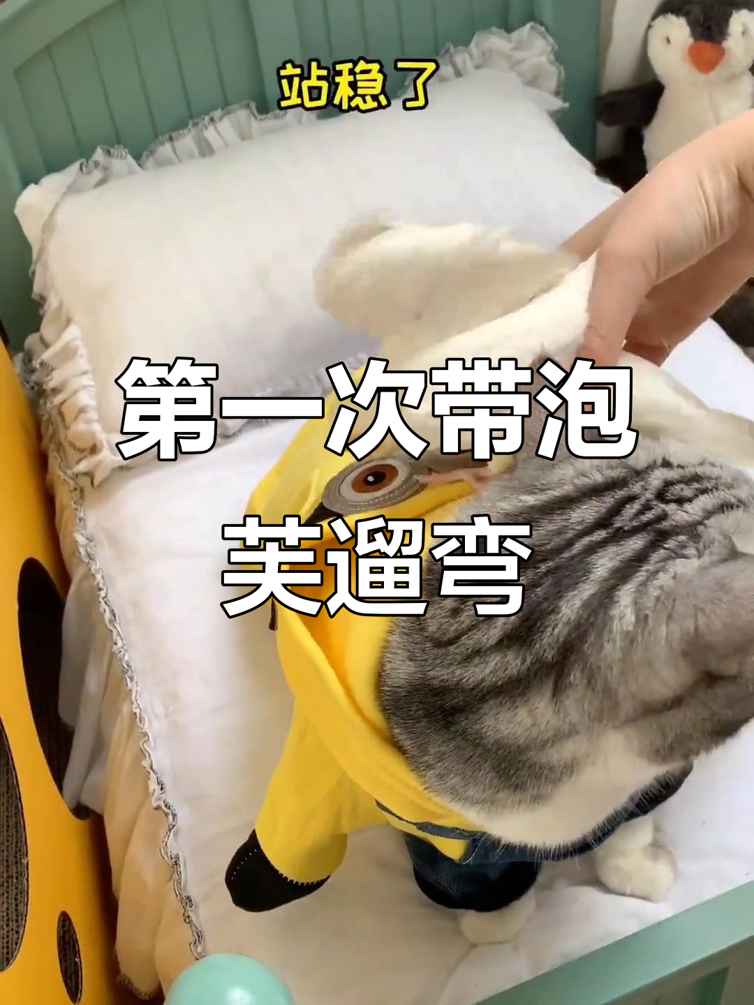 带泡芙出门散步，竟然遇到大漂亮！