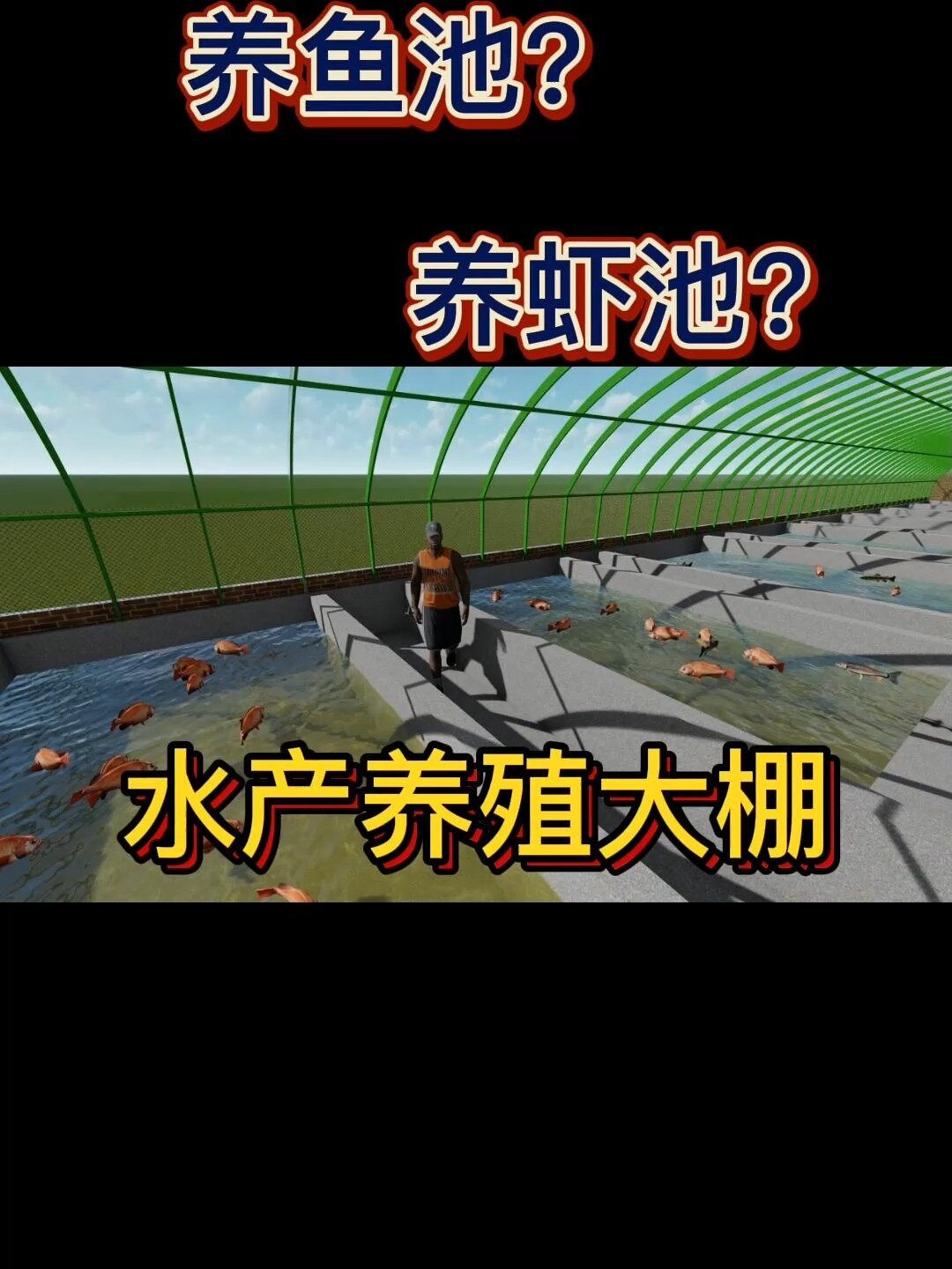 量产得水产养殖大棚 可以养鱼 养虾