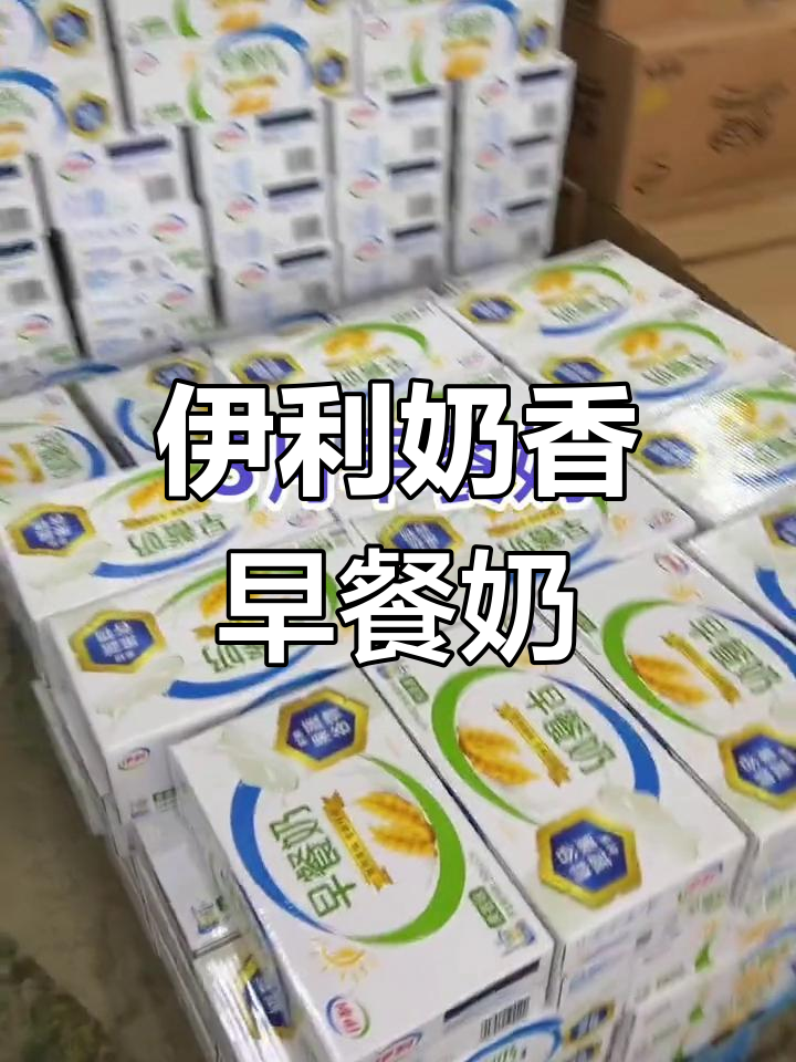 8月新日期伊利奶香早餐奶24瓶/箱,明早有福利