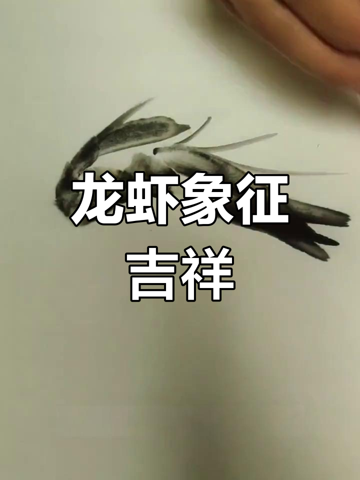 虾的寓意与龙文化