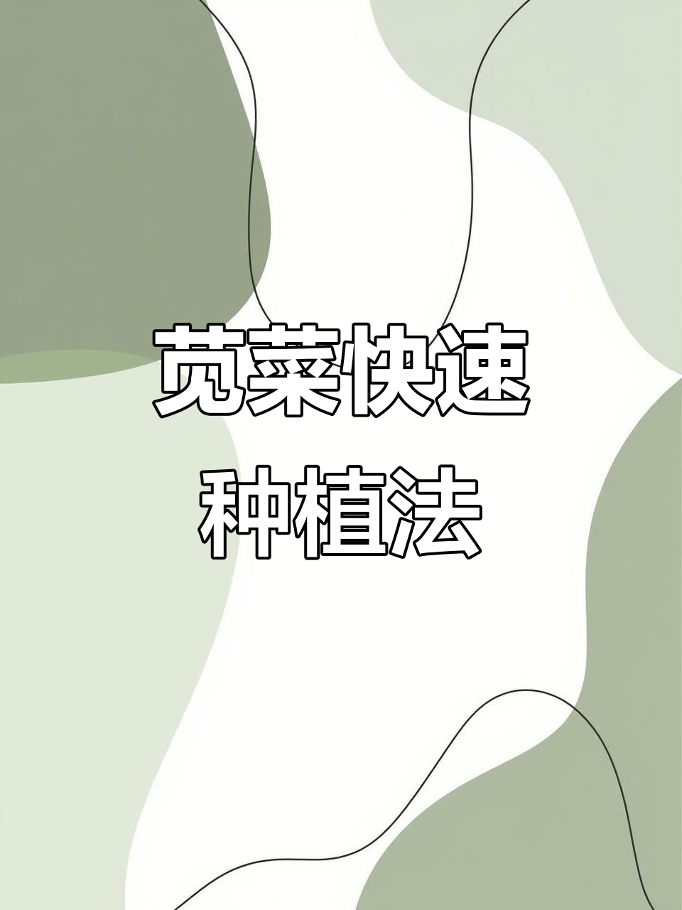 苋菜种植技巧:从播种到发芽,简单又高效