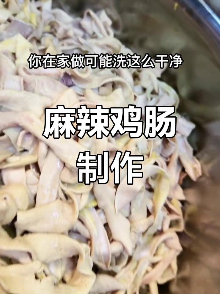 新鲜鸡肠清洗与卤制过程,麻辣鲜香回味无穷