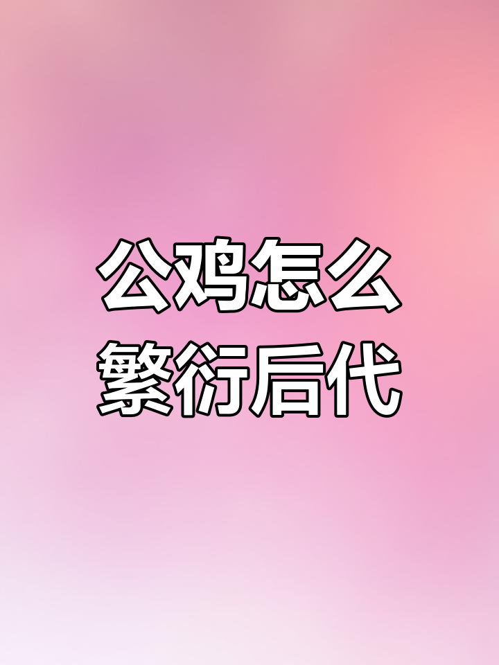公鸡如何与母鸡交配?揭秘无生殖器官的神奇繁殖过程
