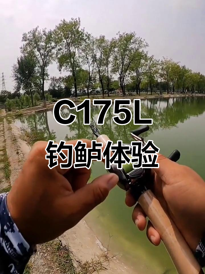 体验C175L路亚竿钓鲈鱼,轻松掌握摘鱼技巧