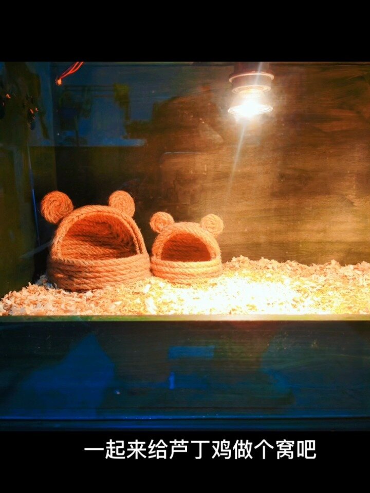 自制芦丁鸡草窝仓鼠窝耐啃草窝省钱自制