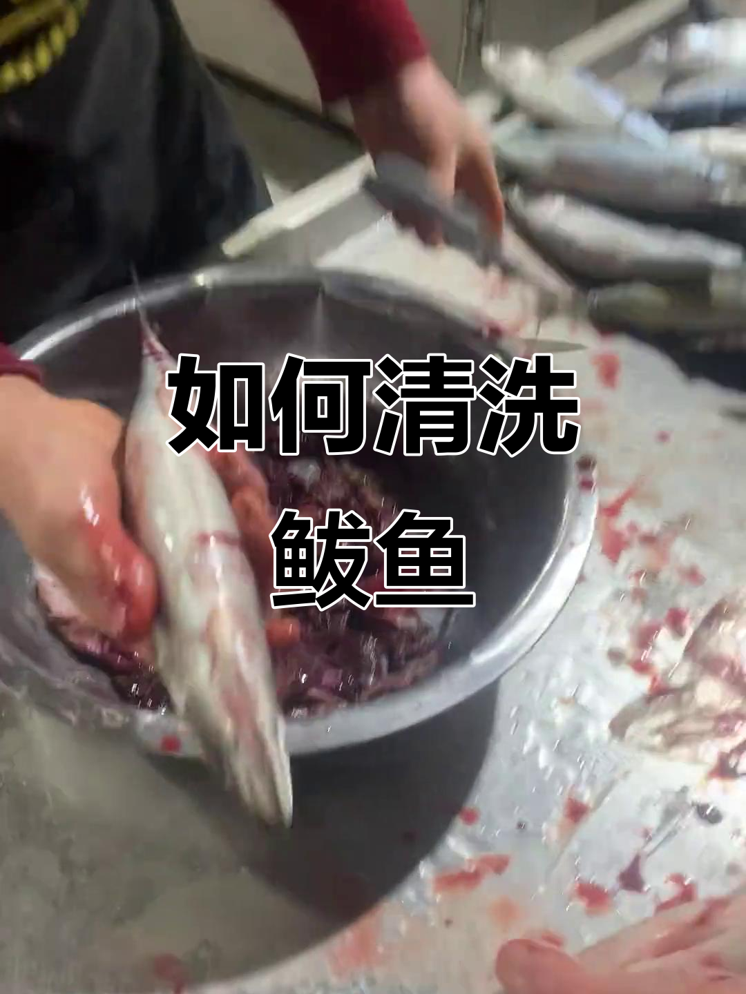 鲅鱼清理技巧大揭秘,轻松去内脏不碎