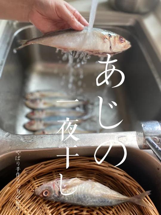 日本料理家食谱|竹荚鱼的一夜干(日式烤鱼)