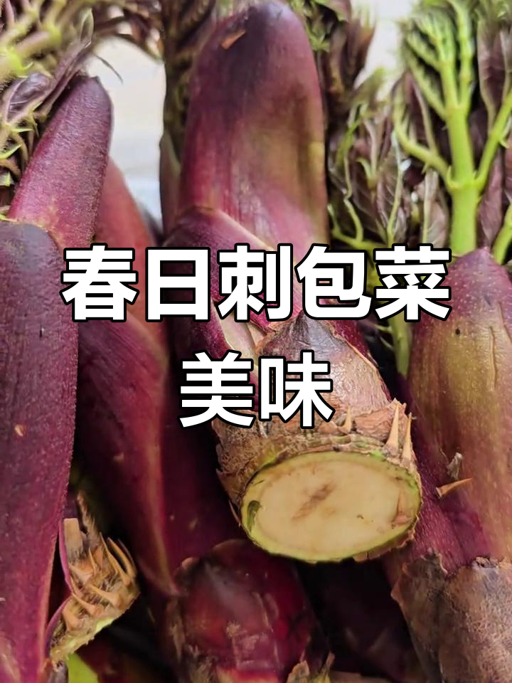 云南春季野菜大赏:刺包菜的独特风味