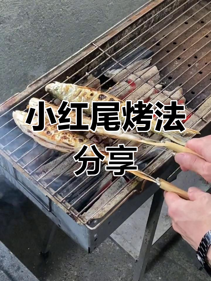 小红尾烧烤做法大揭秘,简单又美味!