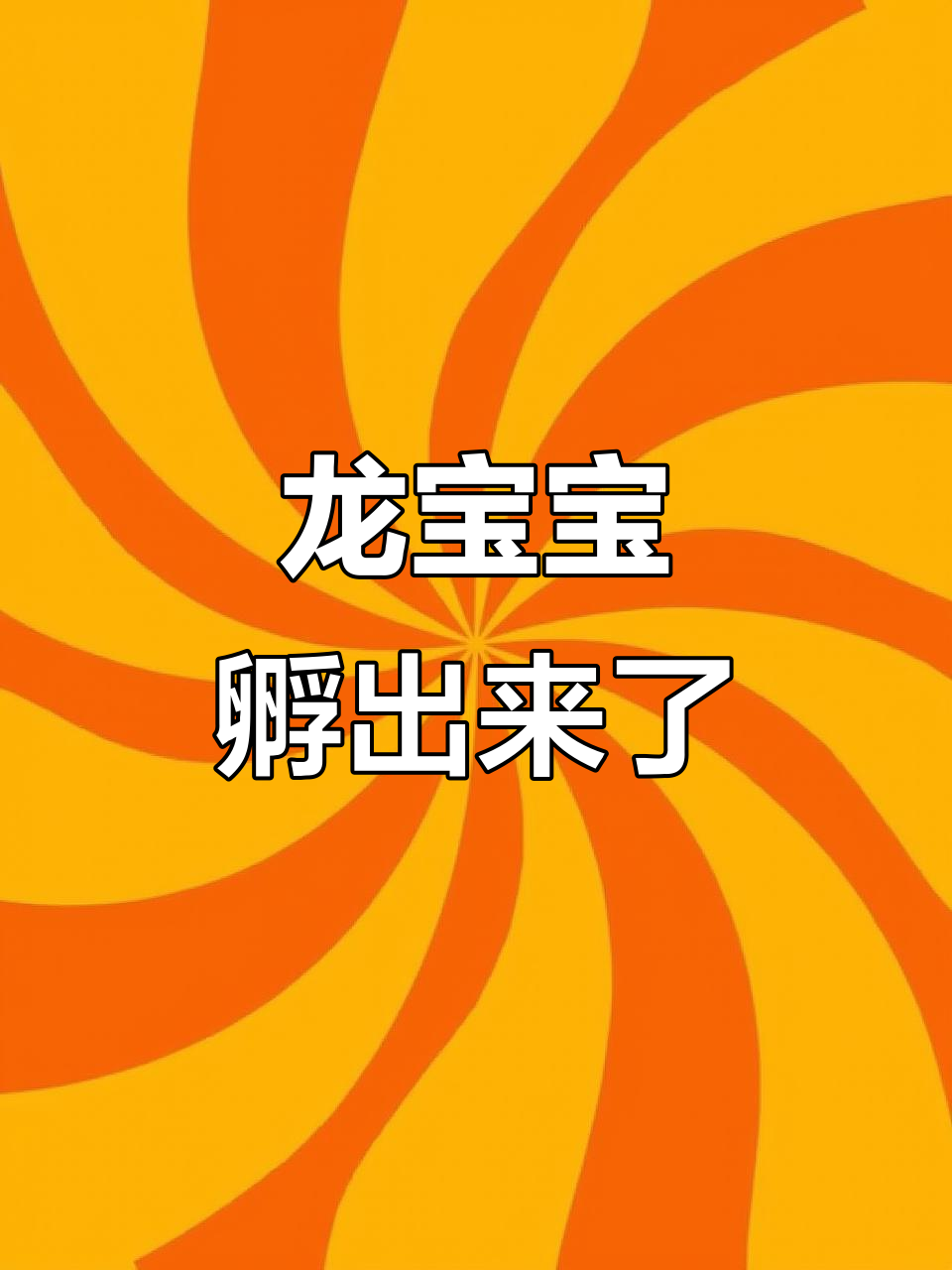 亚卡龙孵化记:从蛋到虾形幼体的成长过程