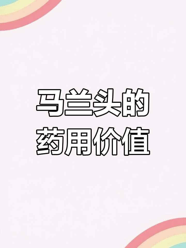 春季常见马兰头,竟是药食两用的宝藏野菜