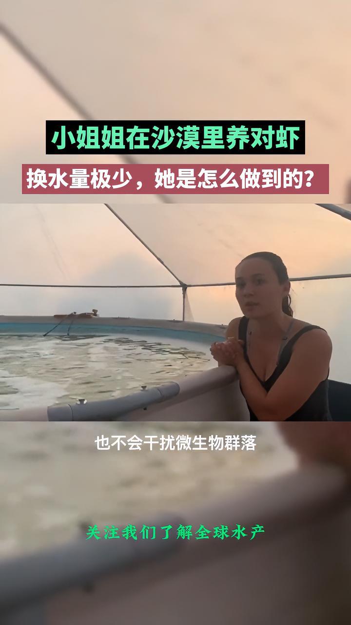 小姐姐在沙漠里养对虾,换水量极少,她是怎么做到的?水产养殖 南美白对虾养殖 三农 乡村守护