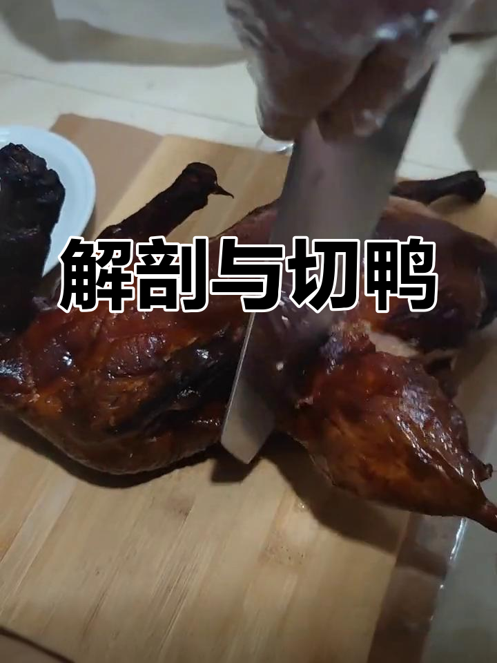 掌握关节解剖,轻松切割鸭子,肌肉分析即将揭秘