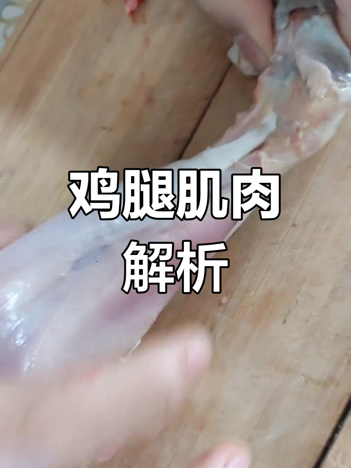 鸡腿肌肉收缩与舒张的奥秘,探索骨骼肌和关节结构