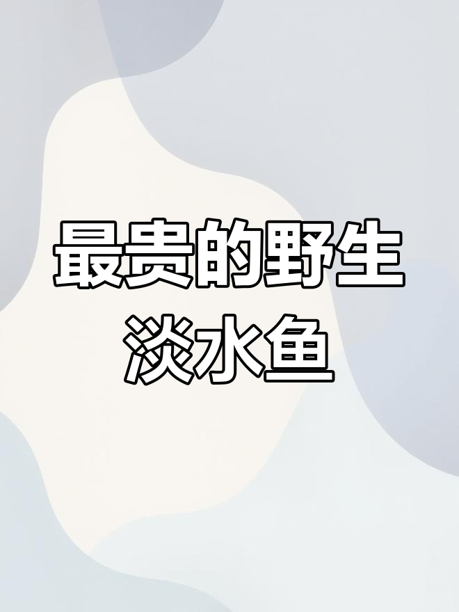 淡水鱼价格排行榜,最贵品种高达50万/公斤
