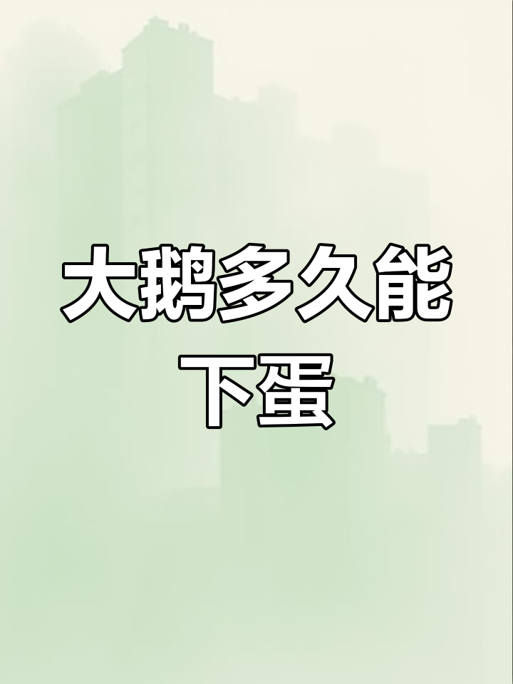 不同品种大鹅产蛋时间揭秘,哪个最晚?