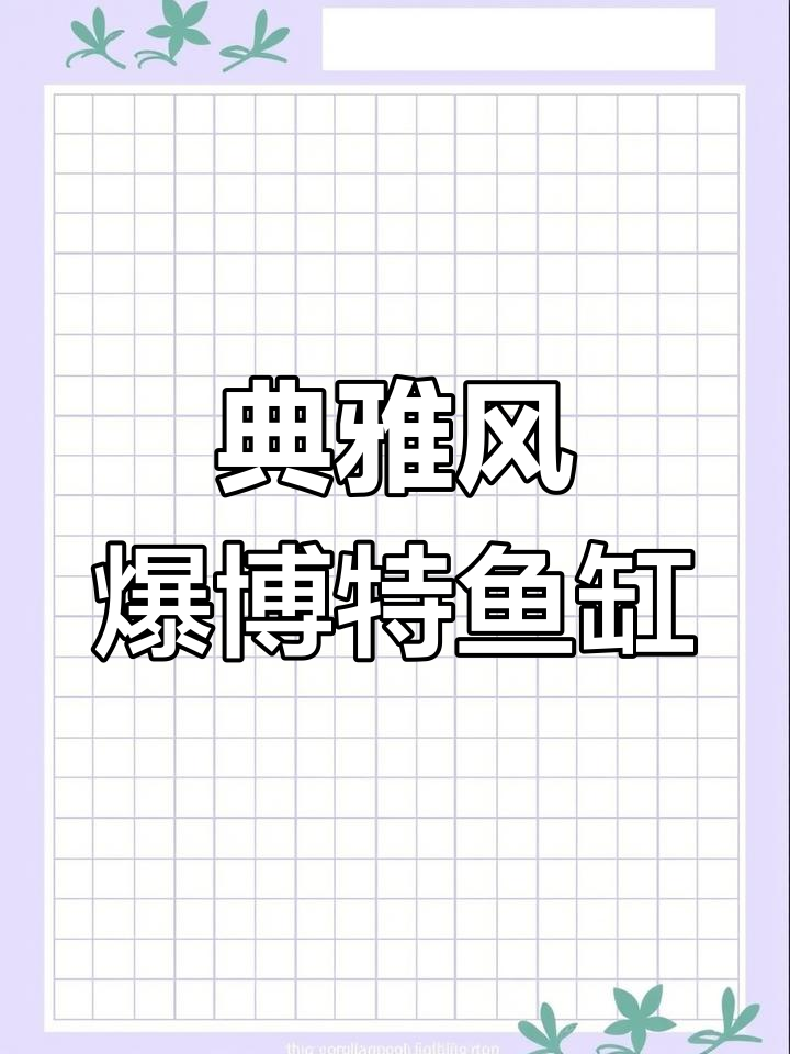 典雅风爆博特鱼缸