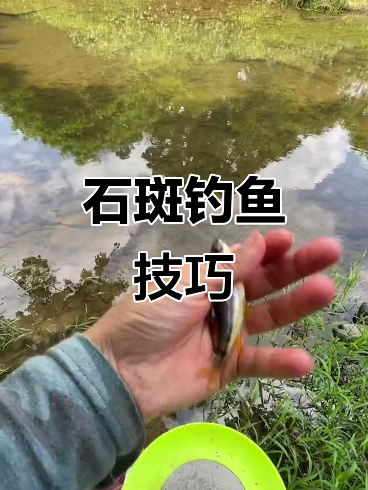 溪石斑钓法揭秘，流水浅滩最易得手