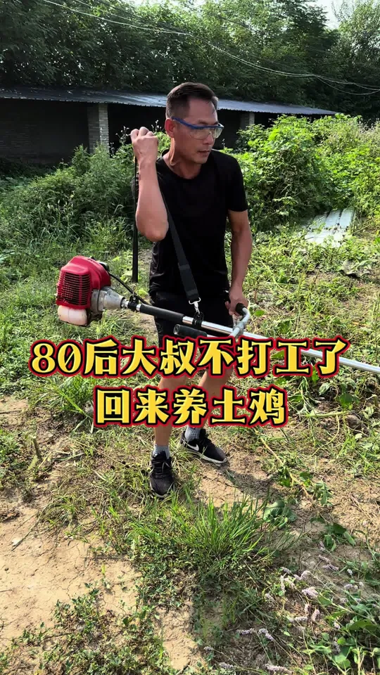 梦想田园生活扬帆起航,为土鸡养殖加油干!
