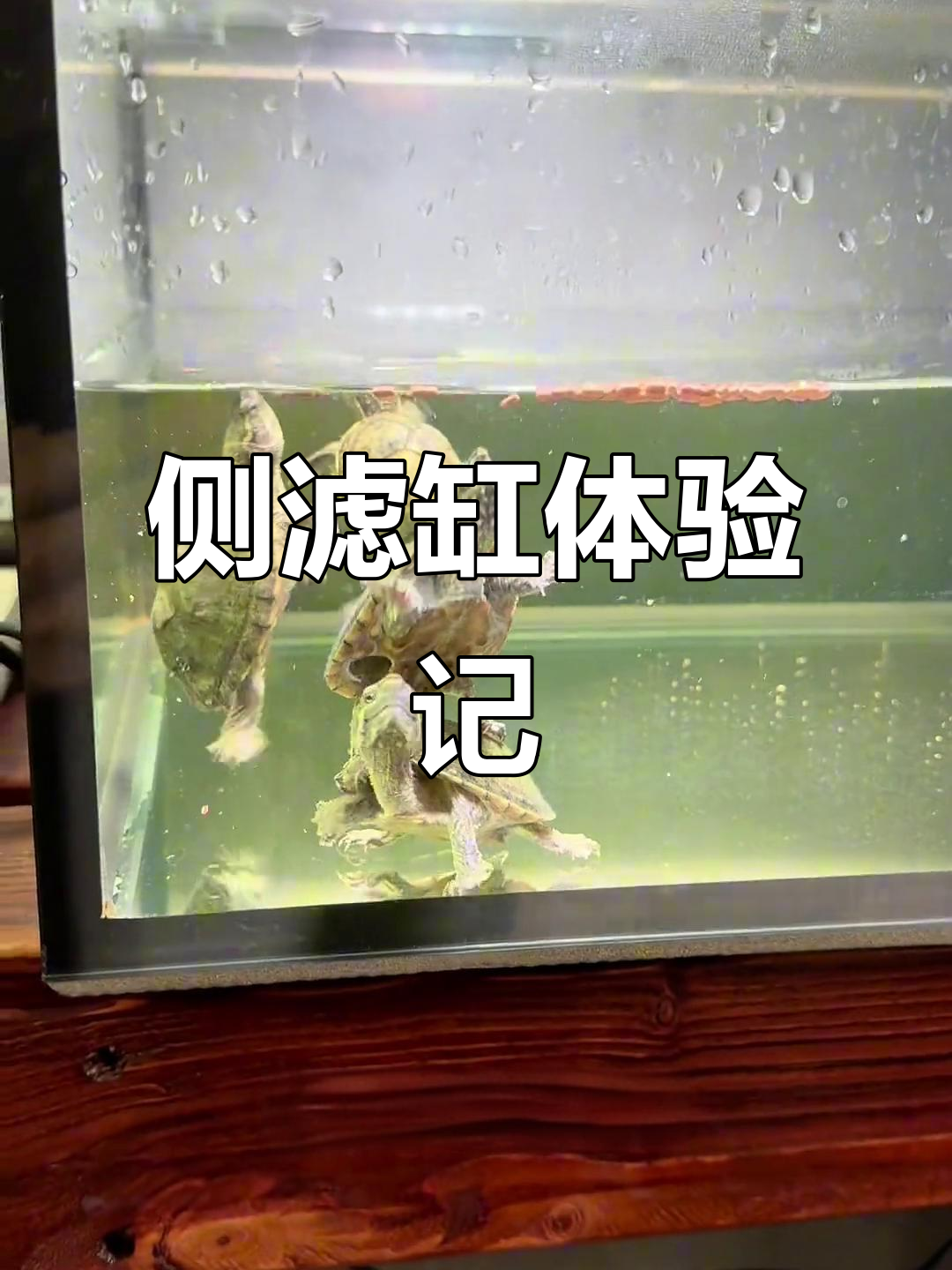 侧滤缸使用心得,真实体验分享