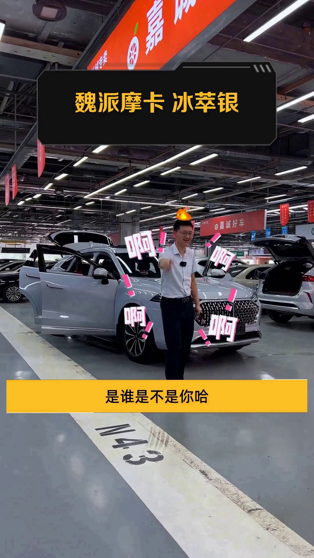 魏派摩卡 冰萃银