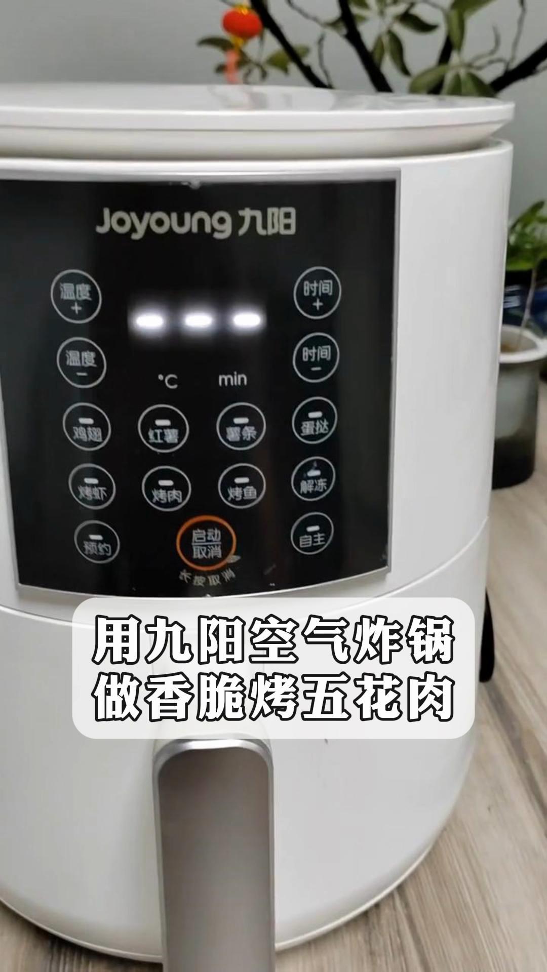 用九阳空气炸锅做香脆烤五花肉