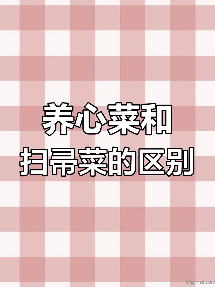 养心菜与扫帚菜的差异解析