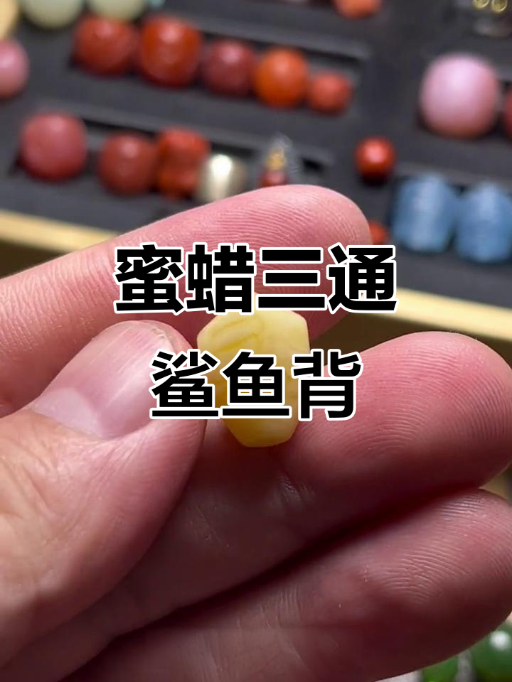 精美蜜蜡三通鲨鱼背,辣飘花让人爱不释手