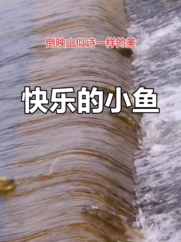 小鱼在水中自由游动,享受大自然的宁静