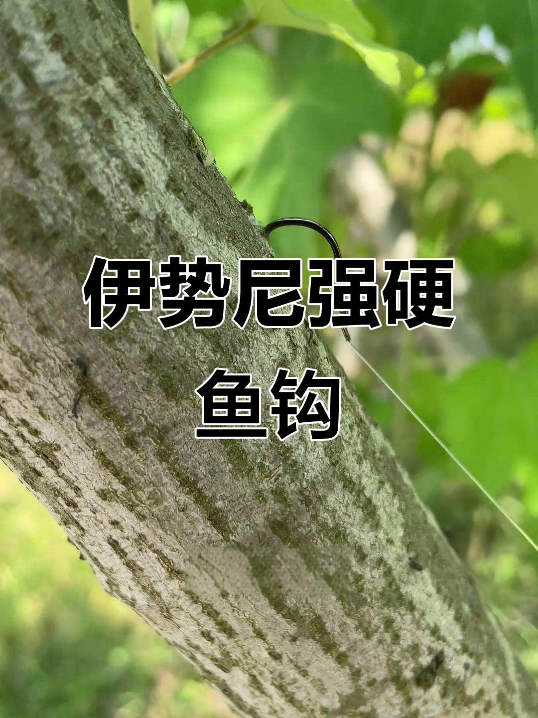 川泽伊势尼鱼钩,锋利刺鱼快,强力拉力让你钓大鱼