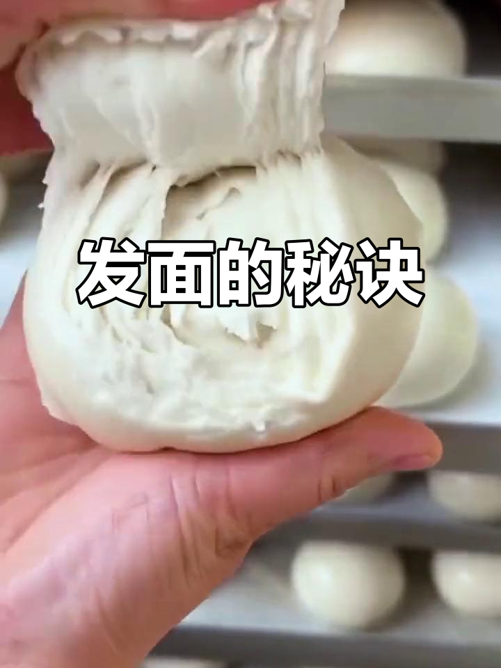 教你如何用酵母粉发面,蒸出松软馒头和面包